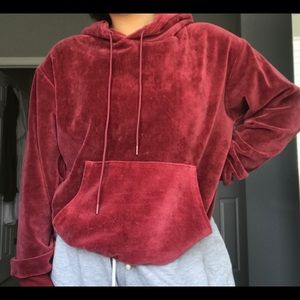 Aritzia TNA velvet hoodie